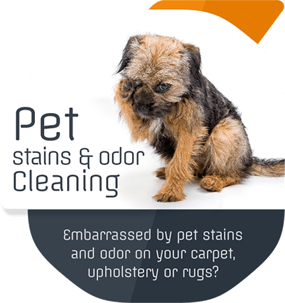 Pet Stains & Odor Removal